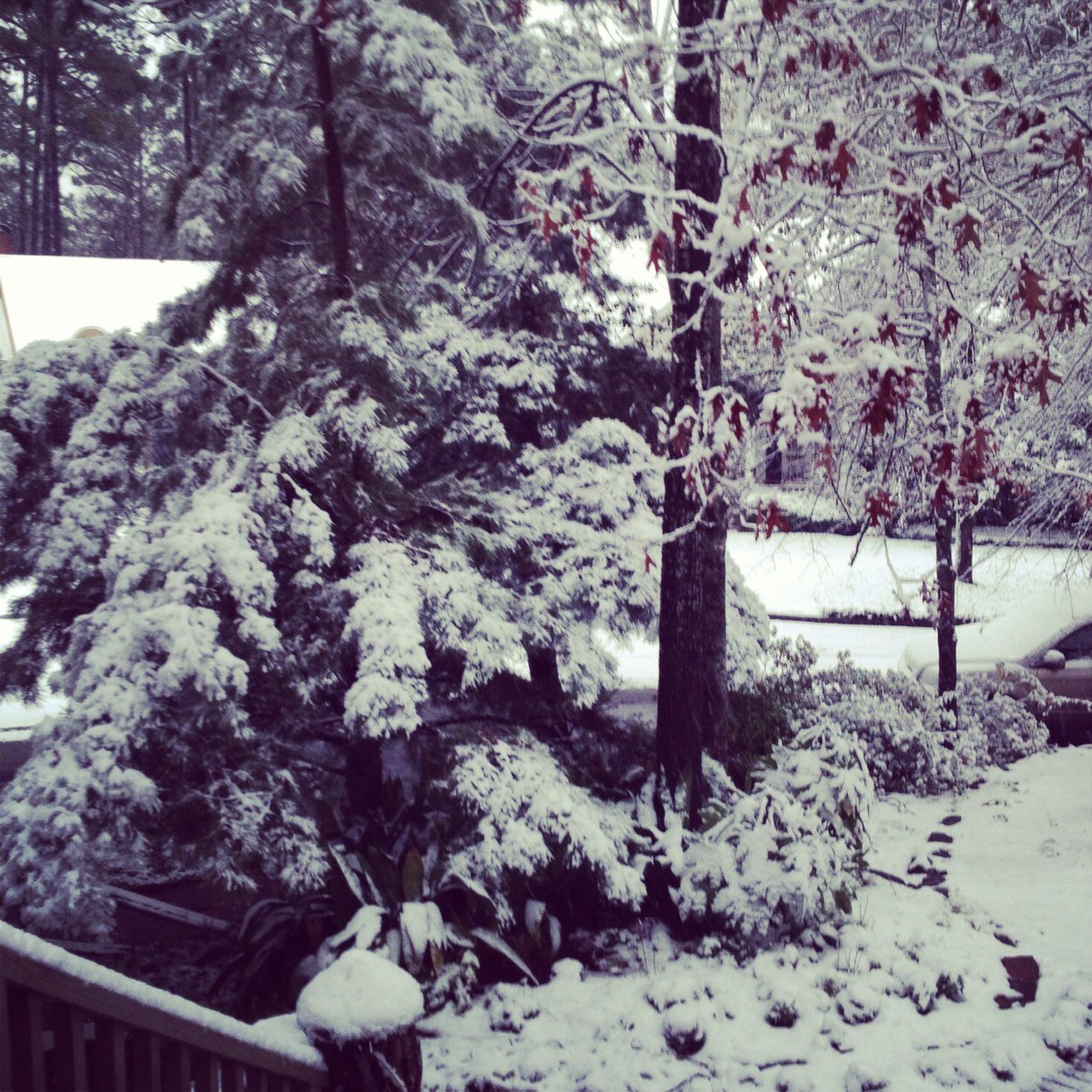 ccarterantiques's profile picture. 