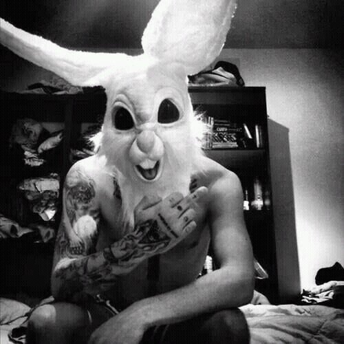 MalinaKonejow's profile picture. Pensamientos de un Conejo enjaulado.