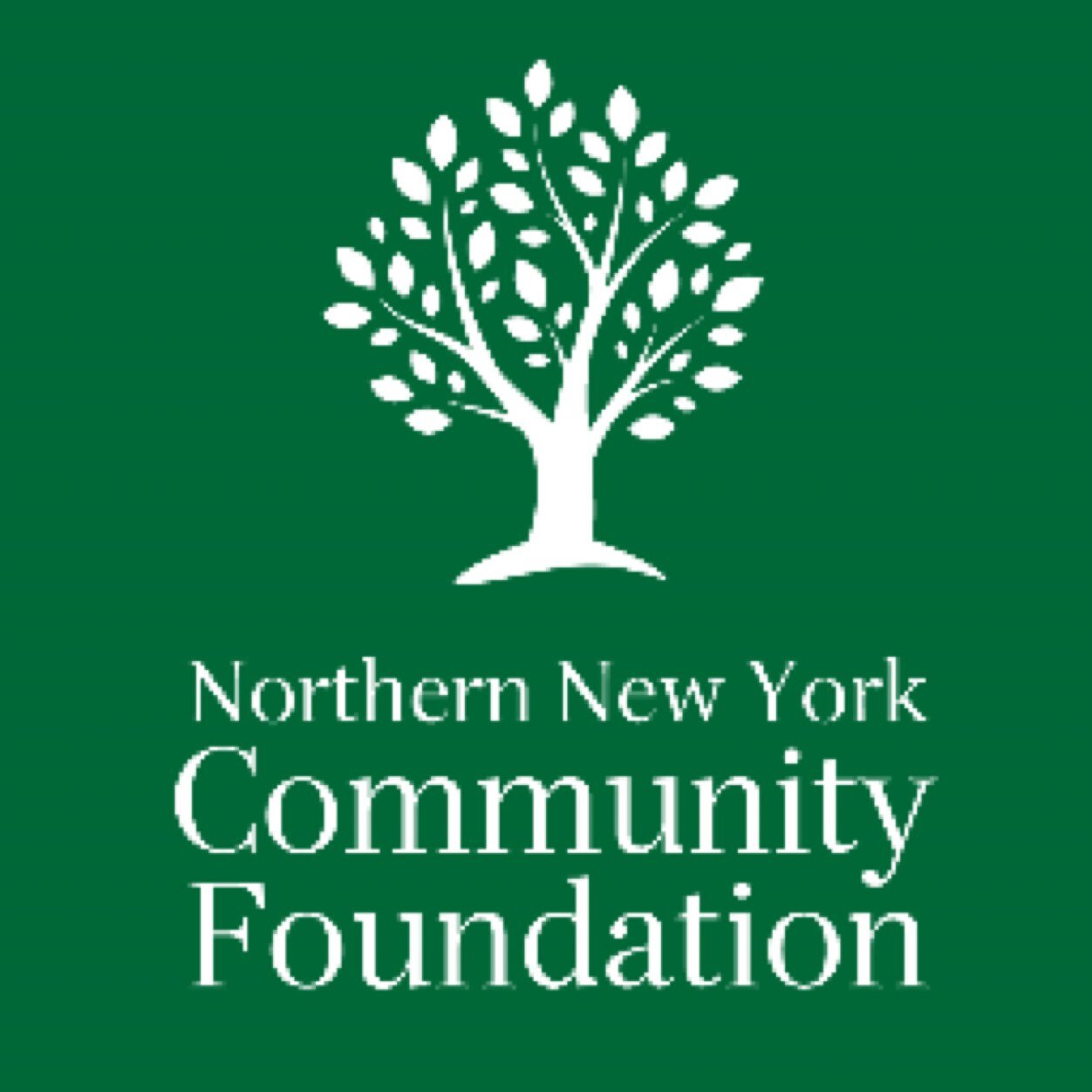 nnyypc's profile picture. WHS youth board working with the @NNYCF to enrich life in the north country through grant making and community service.    joefreda5@yahoo.com - Volunteer Info.