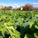 danny robitaille - @dannyRobe20 - Twitter