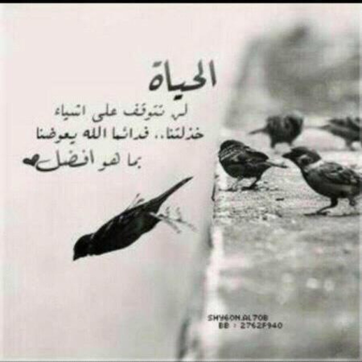 علمت أن إلاهي لا يخيّب من رجاءه لذلك سأترك كل ماحولي وألتجئ إلى كرمه وعطفه وسعة رحمته فسبحان من نفر منه إليه