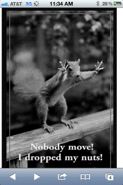 DistrictNuts's profile picture. Living in DC in a house full of nuts. Watch Out!