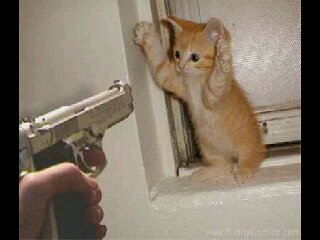 amiens75's profile picture. 