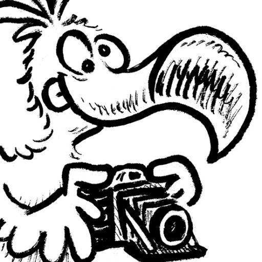 Dodochrome's profile picture. Film based photolab.  C41, E6 & B&W Negative services.