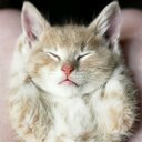 Natalie Inman - @natalielpn67 - Twitter