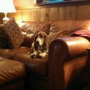 Phil Kemp - @kemp_phil - Twitter