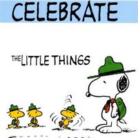 Karen G (@gallowk) 's Twitter Profile