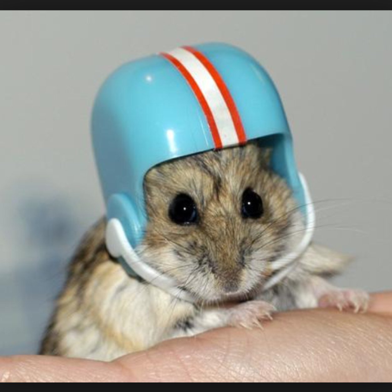 alex_hildebrand's profile picture. Life is like riding a bicycle. To keep your balance