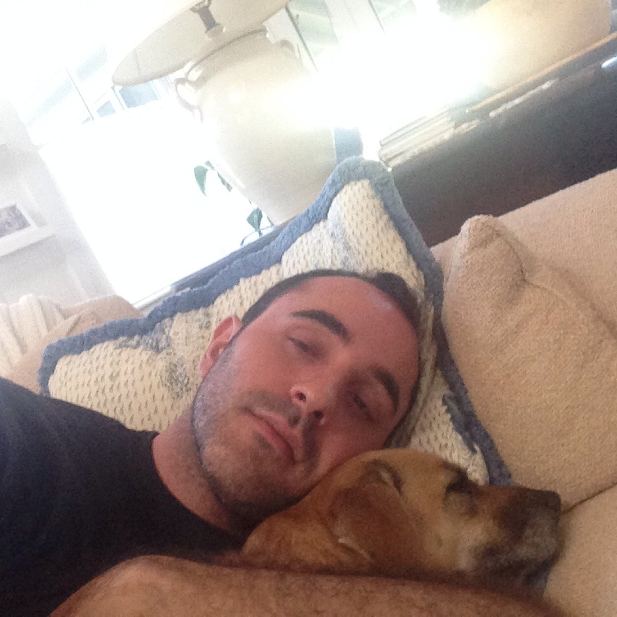 AntonyMerkel's profile picture. 