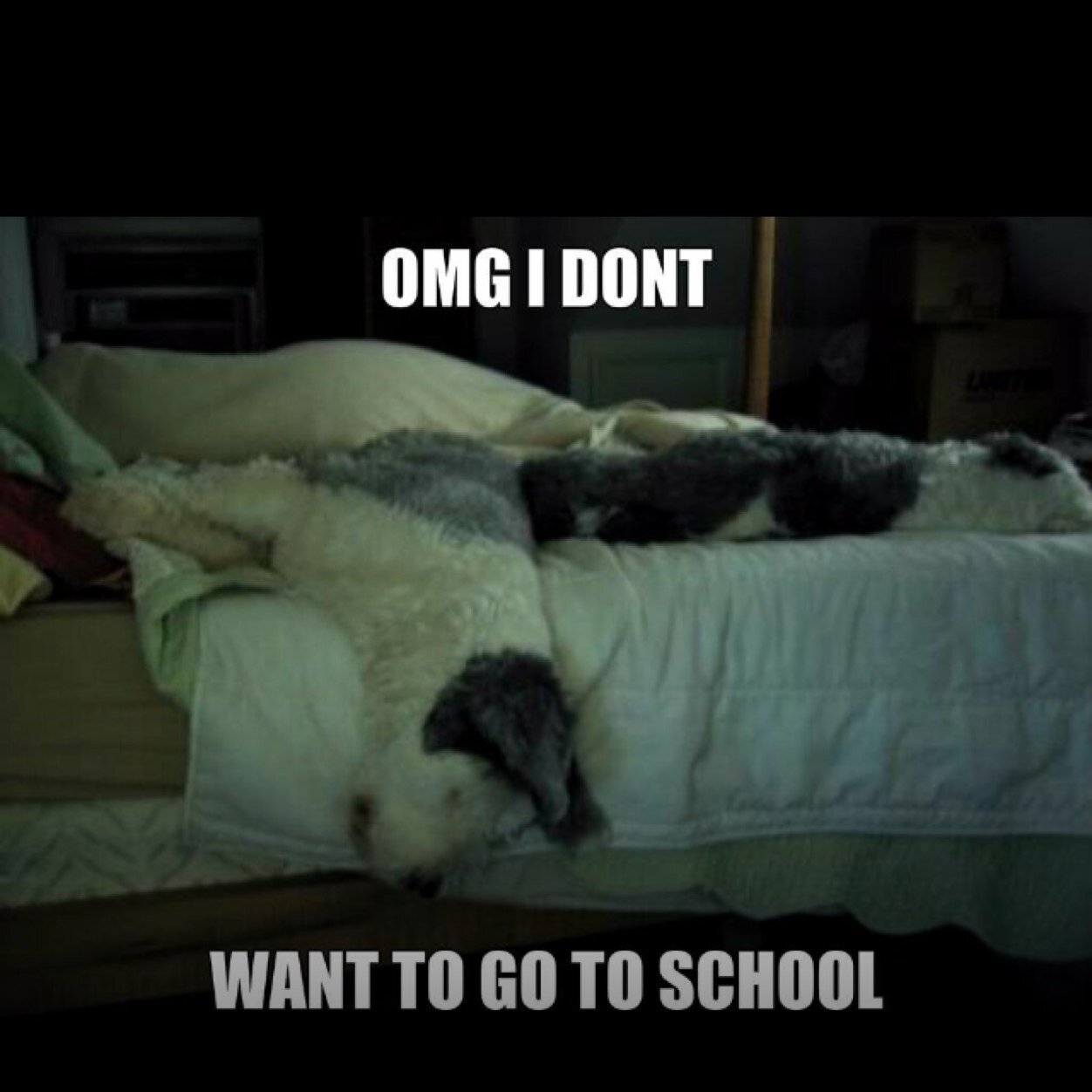 JohnNickj's profile picture. 