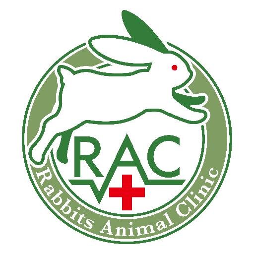 RabbitsAC Profile Picture