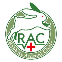 Rabbits (@rabbitsac) 's Twitter Profile Photo Rabbits (@rabbitsac) 's Twitter Profile Photo