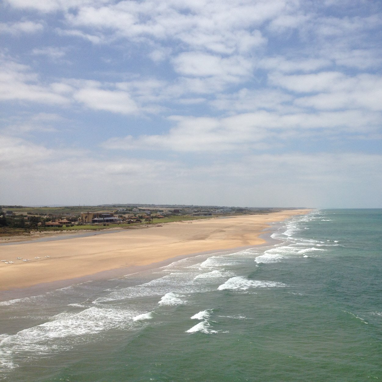 deboruchi's profile picture. 