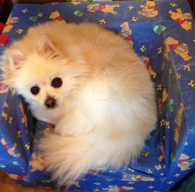 GoodMaura's profile picture. 