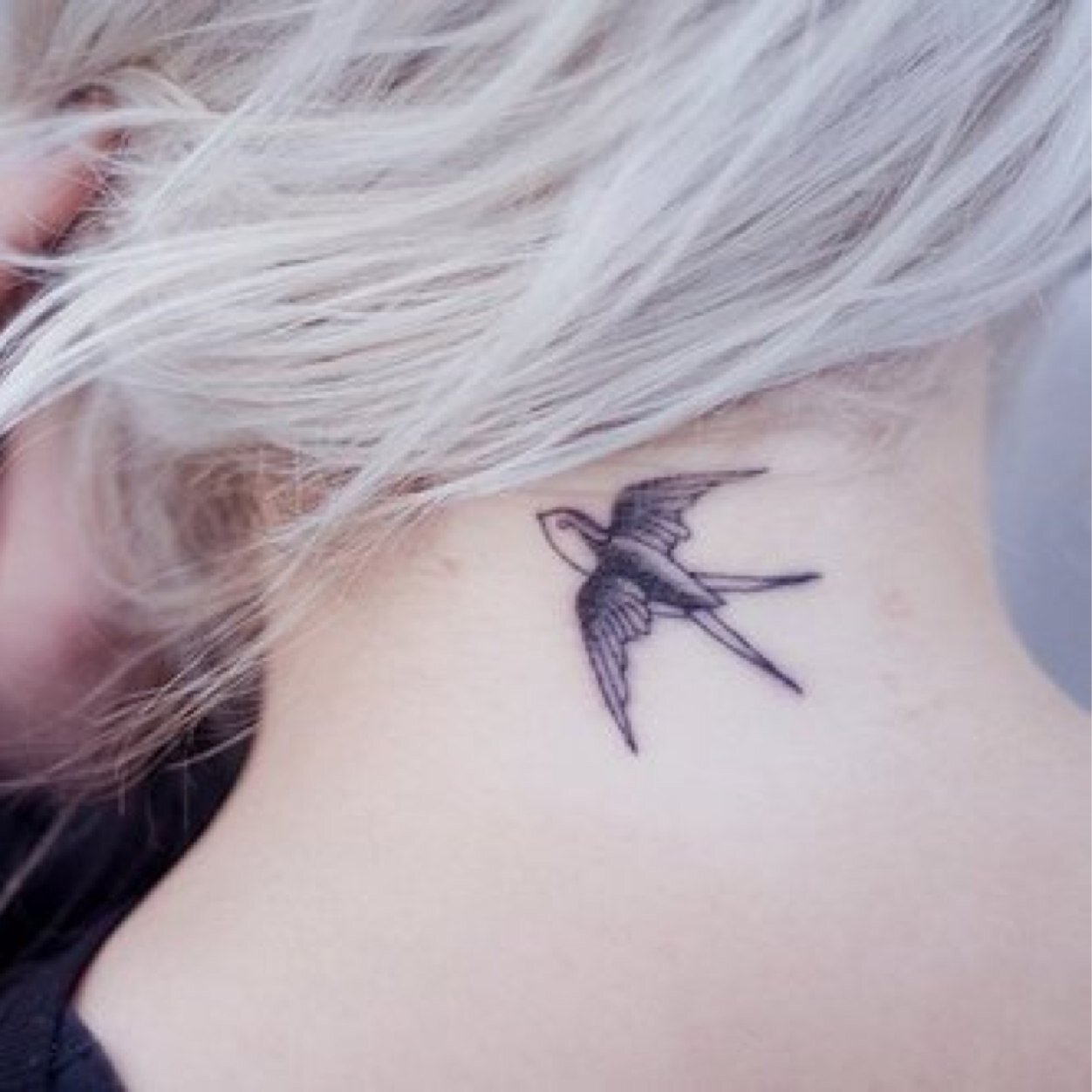 tiny_tattoos's profile picture. I do not own any of these photos unless otherwise stated. Feel free to tag the owner if you know whose it is. Enjoy!