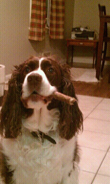 willsrw3's profile picture. 