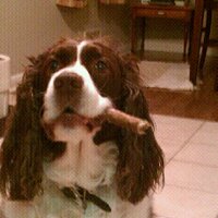 Ray Wills (@willsrw3) 's Twitter Profile