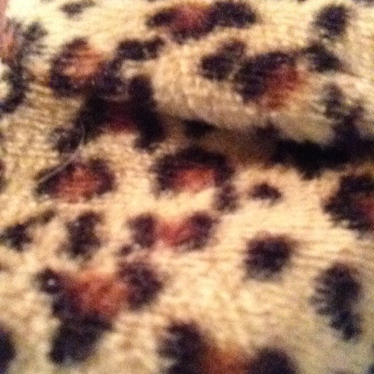 Jess0325Jessica's profile picture. 