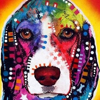 Zahir_r's profile picture. 