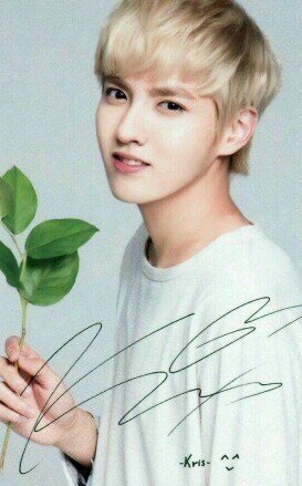 I love K-pop and EXO ! and are looking forward to have a lot of new friends! you let me make a friendship! Follow me and I will follow you back ^^
