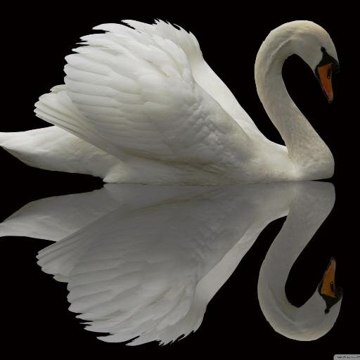 mtb00th23's profile picture. 