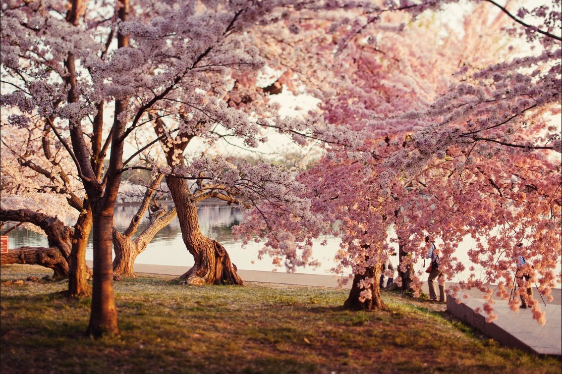 kittykat8391's profile picture. 