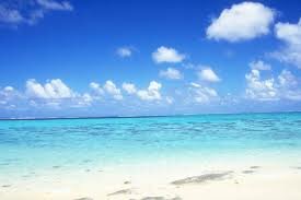 ytmsletm's profile picture. 