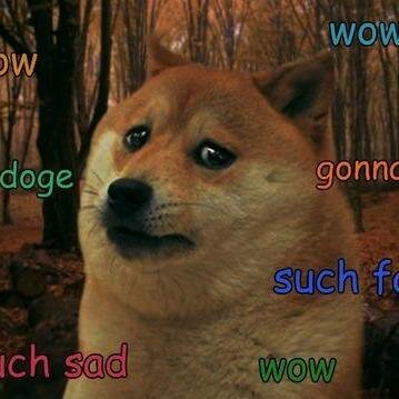 dogetakesphoto's profile picture. fucking idiot