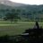 mela_alal's profile image