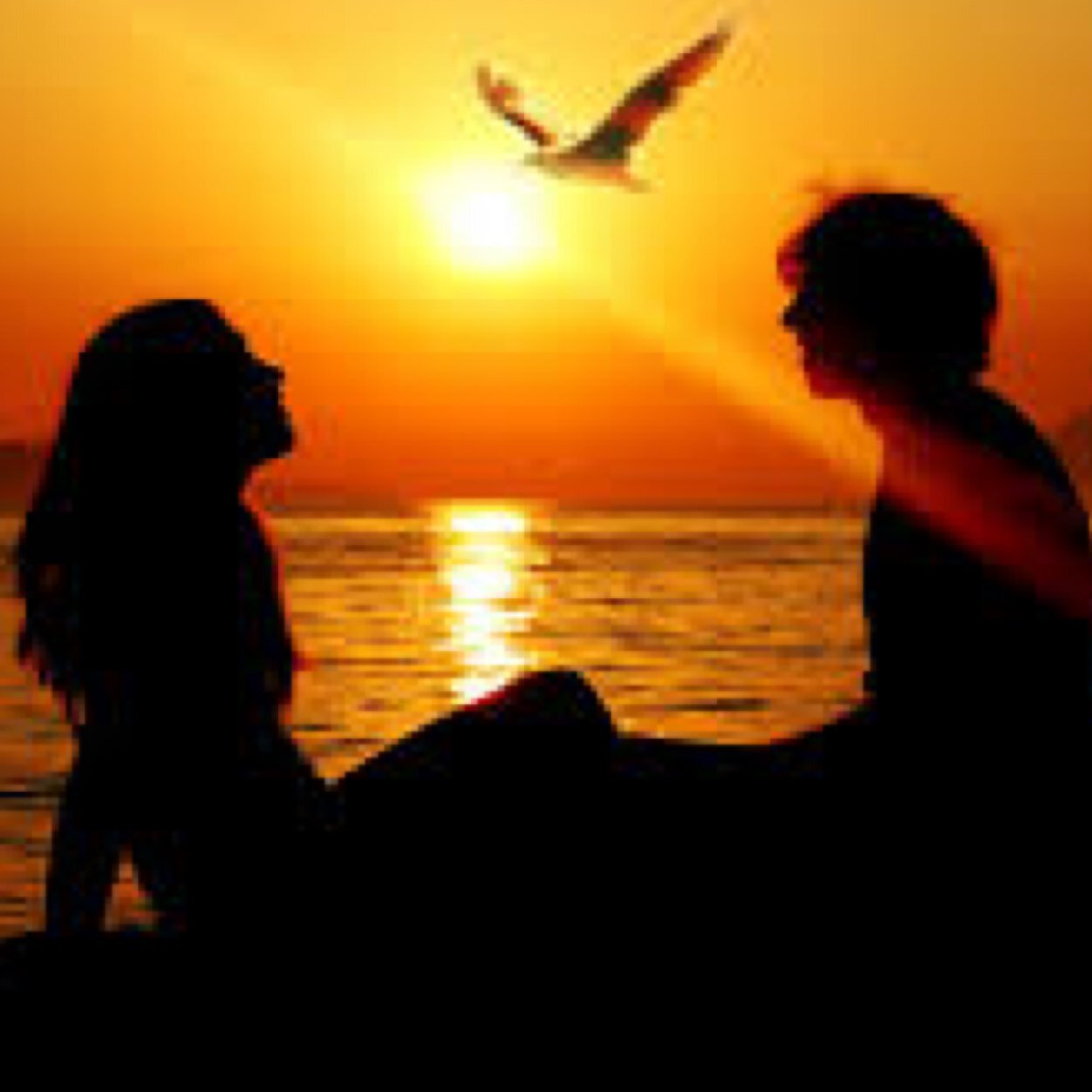 WoWforTeens's profile picture. Actor, Athlete, Friend, Lover, Hopeless Romantic, Musician, Philosopher, Scholar, Singer - sharing my thoughts with the world