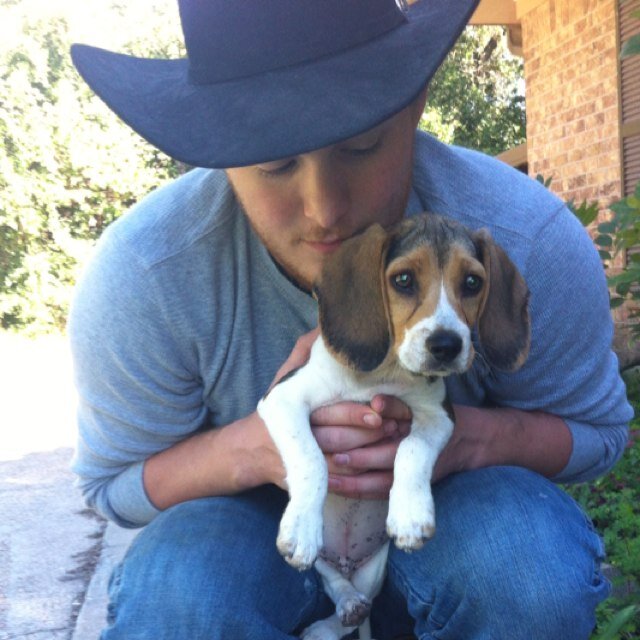 jrocktx's profile picture. 