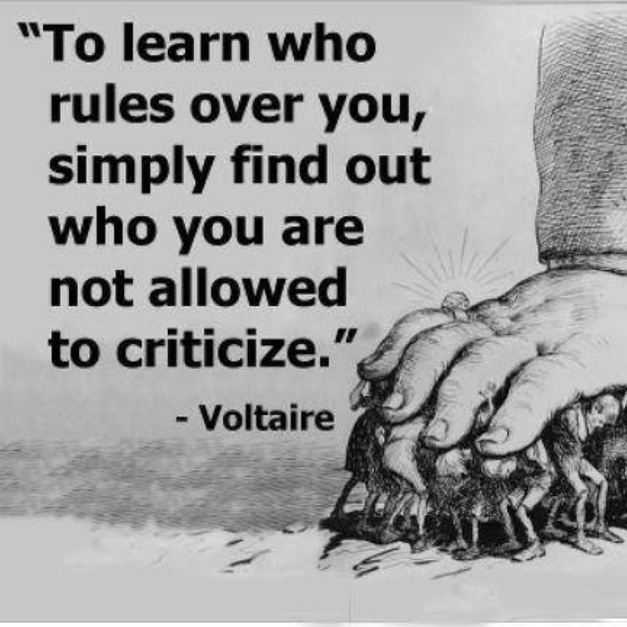 AnnieNimIty's profile picture. Intactalactivist, home birthing, non-vaxing, TJ-Eding, someday homesteading, Latter-Day Saint -wife and mother