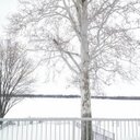 HotMessExpress - @ShellyDobbs - Twitter