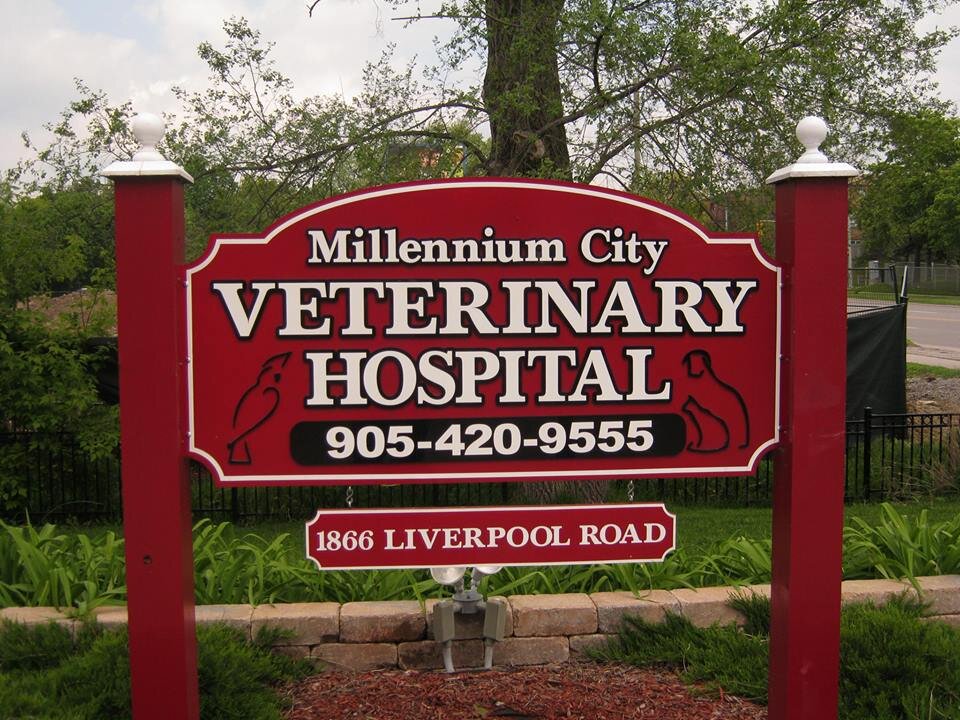 Millennium City Vet Millenniumcityv Twitter