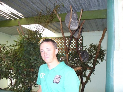 aechean's profile picture. 