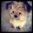 rachelwu118's profile image
