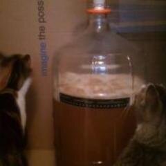 garc_mall's profile picture. Homebrewer, Seahawks Fan, and Foodie. Play GSIV as Ghrimslin.