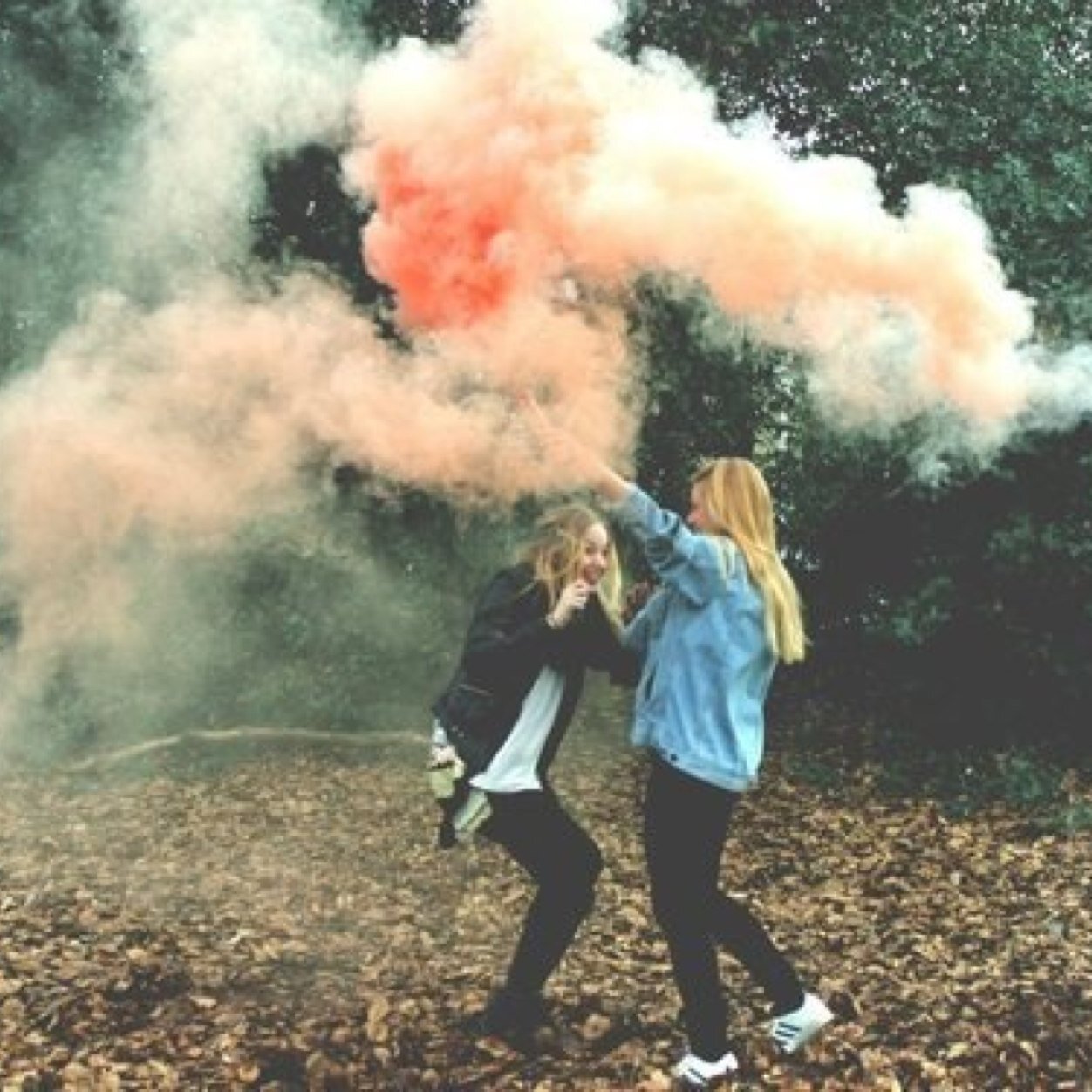 CacasParadise's profile picture. 