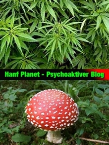 Medizinisches Cannabis, Hanf Legalisierung, Psychoaktive Pflanzen, und Rockmusik.
Nur wer Schmetterlinge lachen hört, der weiß wie Wolken schmecken!