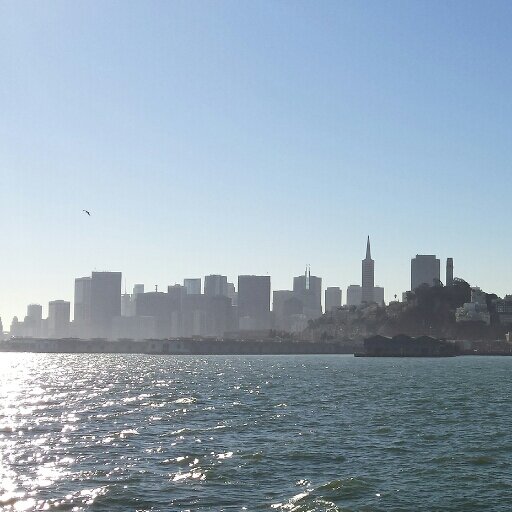 BAY AREA-CALIFORNIA Born and Raised.1/Boxing, 9ers, Giants, Cal Bears, Warriors.