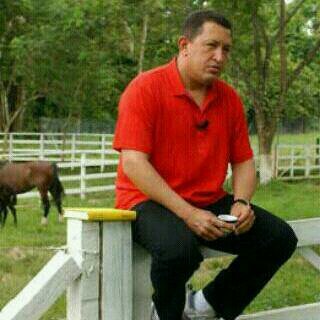 claretnoes's profile picture. Mujer luchadora,amante de la naturaleza y la justica. Amor Frenesi por mi familia y por Chavez...Algunos de mis gustos la fotografia, cenófola y vinófila.