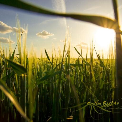 Crops For The Future
