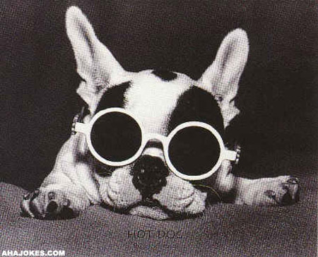 Babalwa Mvovo Profile