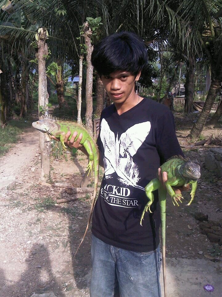 antoni_4lone's profile picture. Kunci Sukses Adalah Kegigihan Untuk Memperbaiki Diri dan Kesunguhan Untuk Memberikan yg terbaik Dari Hidup INI....