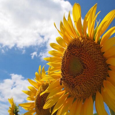 今から前向きになれる名言集 Maemukininarou Twitter