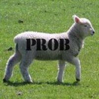 Problamb.com (@problamb) 's Twitter Profile