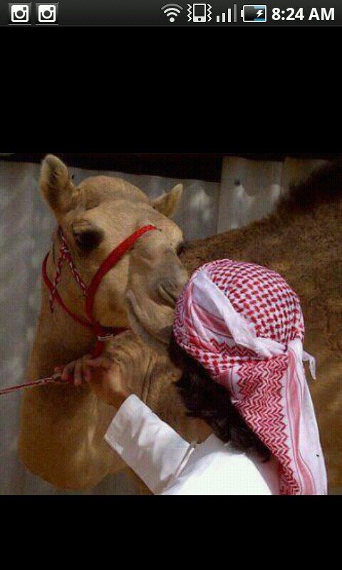 sagrawad61s's profile picture. 