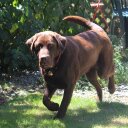 Walter Walsh - @WalterWalsh47 - Twitter