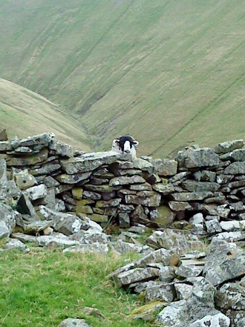 Jen2Bell's profile picture. 