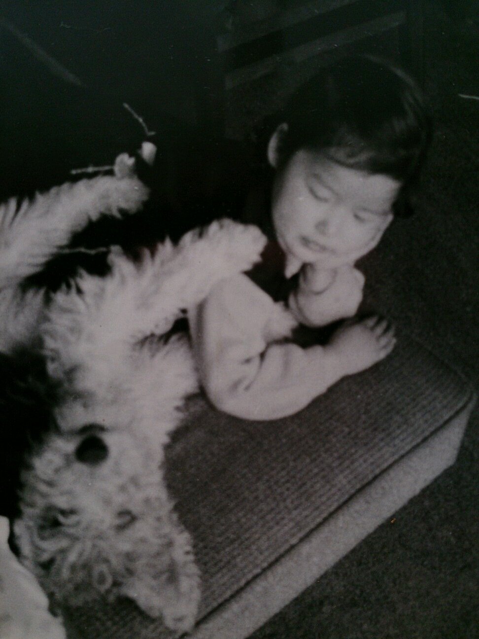 midoream's profile picture. みどりです。趣味はライブやセッションで歌ったり、混声合唱やアカペラのバーバーショップコーラスにもはまってます。某コーヒー＆輸入食材店に努める勤労主婦。麻雀息子とカエラちゃん（ネコ）とがちゃがちゃ暮らしています。